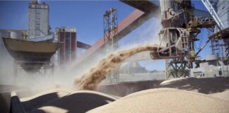 Exportaciones récord para el campo, que registró un crecimiento exponencial de su producción en 2025 exportaciones-record-para-el-campo,-que-registro-un-crecimiento-exponencial-de-su-produccion-en-2025