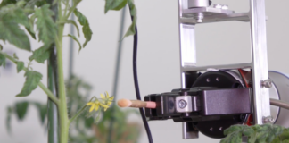 La industria de OGM descansa en una economía única, celda de la promesa eternamente renovada la-industria-de-ogm-descansa-en-una-economia-unica,-celda-de-la-promesa-eternamente-renovada