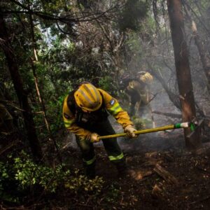 wildfires-in-patagonia-reignite,-destroying-over-35,000-hectares
