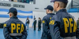 Los homicidios bajan un 5% respecto al año pasado, los robos caen al nivel más bajo de la historia reciente los-homicidios-bajan-un-5%-respecto-al-ano-pasado,-los-robos-caen-al-nivel-mas-bajo-de-la-historia-reciente