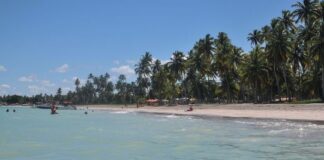 Brasil tendrá una nueva aerolínea para vuelos internos brasil-tendra-una-nueva-aerolinea-para-vuelos-internos