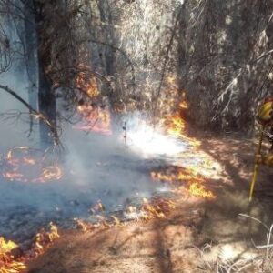 las-lluvias-alivian-los-incendios-en-la-patagonia,-pero-persiste-el-riesgo-de-que-se-produzcan-brotes
