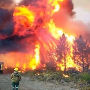 gobierno-de-milei-declara-emergencia-por-incendios-forestales-en-la-patagonia