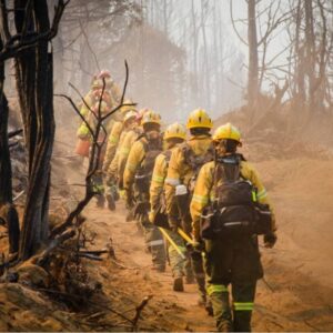 argentine-government-declares-state-of-emergency-over-patagonia-wildfires