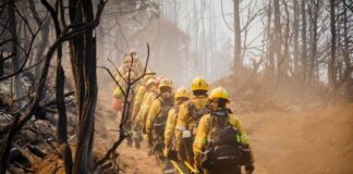 Argentine government declares state of emergency over Patagonia wildfires argentine-government-declares-state-of-emergency-over-patagonia-wildfires