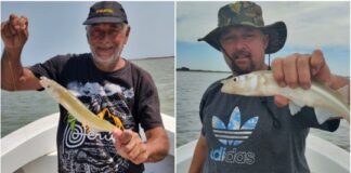 Sauce Grande, un destino infalible en verano sauce-grande,-un-destino-infalible-en-verano