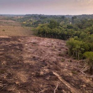 algunas-zonas-tropicales-del-planeta-podrian-tener-un-calentamiento-mayor-debido-al-cambio-climatico