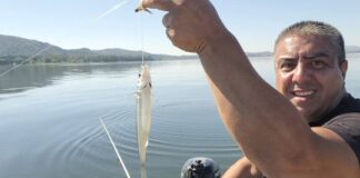 Pesca fina y efectiva en Los Molinos: cuando el pique aparece, no perdona pesca-fina-y-efectiva-en-los-molinos:-cuando-el-pique-aparece,-no-perdona