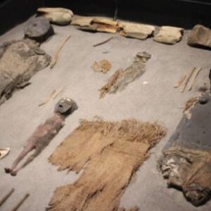 cientificos-revelaron-por-que-las-momias-de-atacama-tenian-cerebros-mas-pequenos