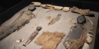 Científicos revelaron por qué las momias de Atacama tenían cerebros más pequeños cientificos-revelaron-por-que-las-momias-de-atacama-tenian-cerebros-mas-pequenos