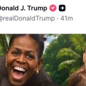 furia-despues-de-que-trump-publicara-un-video-de-los-obama-como-monos