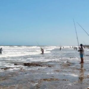 arranca-la-gran-maraton-de-pesca-en-el-mar:-premios-millonarios-en-la-fiesta-de-la-corvina-negra