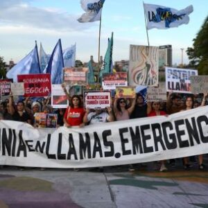 historias-que-nos-llamaron-la-atencion:-del-31-de-enero-al-6-de-febrero