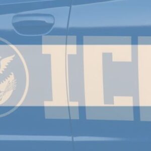 ¿ice-argentino?-gobierno-de-milei-avanza-planes-de-agencia-migratoria