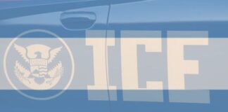 ¿ICE argentino? Gobierno de Milei avanza planes de agencia migratoria ¿ice-argentino?-gobierno-de-milei-avanza-planes-de-agencia-migratoria