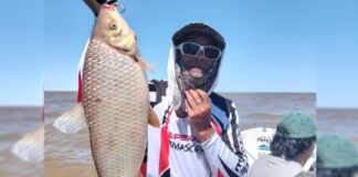 Sigue el buen pique de bogas en Berisso, a menos de una hora de CABA sigue-el-buen-pique-de-bogas-en-berisso,-a-menos-de-una-hora-de-caba