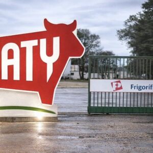 despidos-masivos-en-el-frigorifico-creador-de-paty:-mas-de-180-trabajadores-afectados