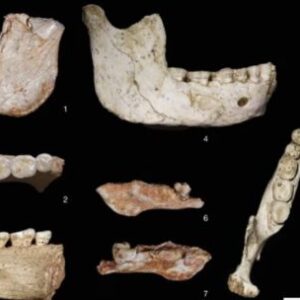 encuentran-restos-fosiles-que-reescriben-los-origenes-del-homo-sapiens