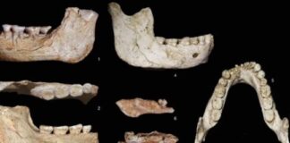 Encuentran restos fósiles que reescriben los orígenes del Homo sapiens encuentran-restos-fosiles-que-reescriben-los-origenes-del-homo-sapiens