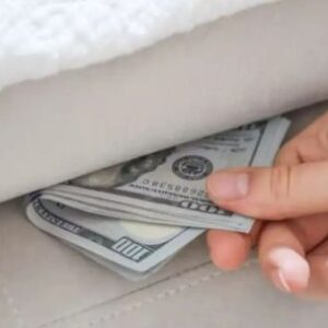 la-busqueda-de-dolares-de-colchones-de-mileis-continua-con-la-ley-de-inocencia-fiscal