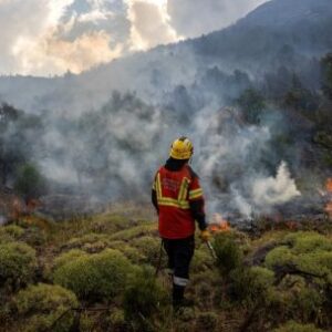 un-analisis-cientifico-dice-que-el-cambio-climatico-alimento-las-condiciones-de-los-incendios-forestales-en-chile-y-argentina