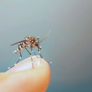 por-que-los-mosquitos-pican-mas-a-algunas-personas-y-cual-es-el-mejor-repelente-en-verano