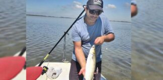 La última carta de la lisa: dónde buscarla antes del cierre de la temporada la-ultima-carta-de-la-lisa:-donde-buscarla-antes-del-cierre-de-la-temporada