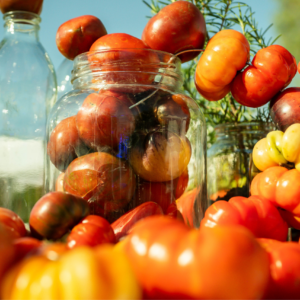 in-peak-season,-tomatoes-steal-the-show