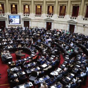 lower-house-debates-mileis-labor-reform-amid-general-strike