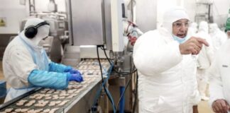 El mayor frigorífico avícola del país al borde del cierre el-mayor-frigorifico-avicola-del-pais-al-borde-del-cierre