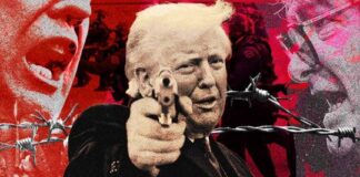 ¿Puede la democracia seguir funcionando? ¿puede-la-democracia-seguir-funcionando?