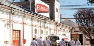 Georgalos vuelve a suspender trabajadores y reduce los sueldos un 20% georgalos-vuelve-a-suspender-trabajadores-y-reduce-los-sueldos-un-20%