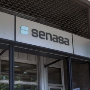 argentina-detecta-brote-de-gripe-aviar-y-suspende-exportaciones