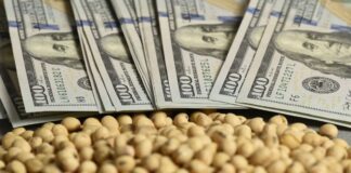 Los futuros de soja tocaron máximos de tres meses ante posibles compras adicionales de China los-futuros-de-soja-tocaron-maximos-de-tres-meses-ante-posibles-compras-adicionales-de-china