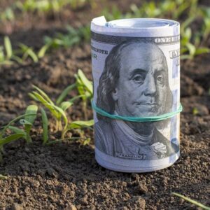 la-liquidacion-de-dolares-del-agro-se-desplomo-41%-interanual-en-febrero