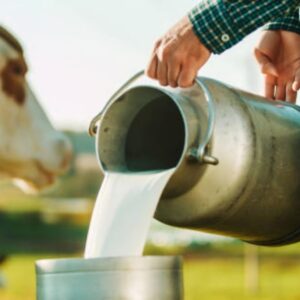 el-senasa-prohibio-el-uso-de-una-hormona-que-aumenta-la-produccion-de-leche-en-vacas