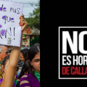 el-hijo-de-una-reconocida-defensora-de-animales-fue-senalado-de-matar-a-la-mama-en-cali:-asi-cayo-hasta-ser-enviado-a-la-carcel