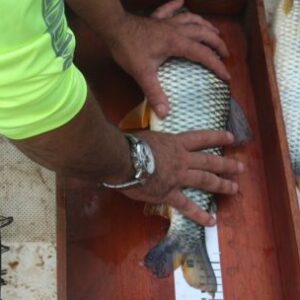por-primera-vez-una-mujer-gana-la-fiesta-nacional-de-la-pesca-de-la-boga