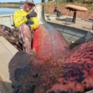 capturaron-un-pez-de-160-kilos-que-respira-fuera-del-agua:-el-gigante-que-asombra-al-mundo