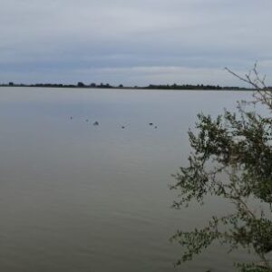 la-laguna-de-bragado-se-seca-y-otras-bonaerenses-estan-bajo-alerta