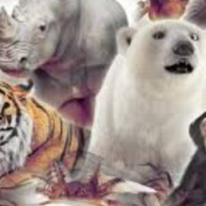 afirman-que-en-el-planeta-hay-el-doble-de-especies-de-vertebrados-de-lo-que-se-creia