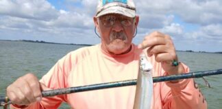 Se va el verano adónde ir a pescar? se-va-el-verano-adonde-ir-a-pescar?