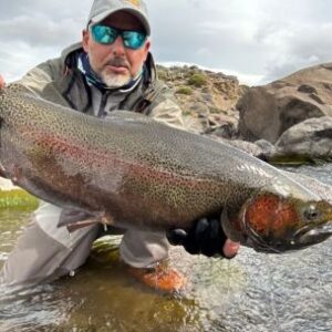 truchas:-grandes-trofeos-del-desierto-patagonico