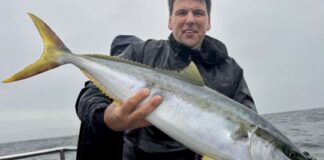 Limones potentes, impredecibles y combativos en el mar Argentino limones-potentes,-impredecibles-y-combativos-en-el-mar-argentino