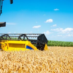 campo:-sin-retenciones,-argentina-podria-producir-251-millones-de-toneladas-de-granos-en-10-anos