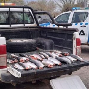 desbaratan-banda-de-furtivos-con-truchas-y-carne-de-ciervo-en-la-patagonia