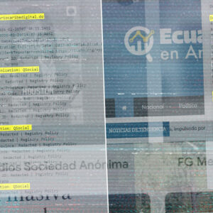 alguien-creo-30-sitios-web-y-mas-de-90-cuentas-en-redes-sociales-para-la-red-de-falsos-noticieros-pro-delcy-rodriguez