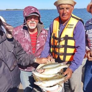 exploto-el-pejerrey-en-lago-del-monte:-piques-furiosos-y-matungos