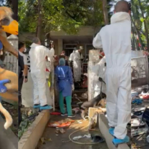 intervienen-polemica-casa-de-los-gatos-de-barranquilla:-decenas-de-animales-enfermos-y-agresivos-obligaron-a-operativo-sin-precedentes-en-la-ciudad