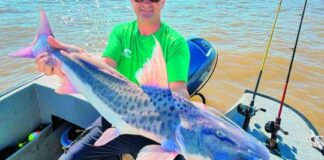 Patíes descomunales brindan combates en los canales profundos paties-descomunales-brindan-combates-en-los-canales-profundos